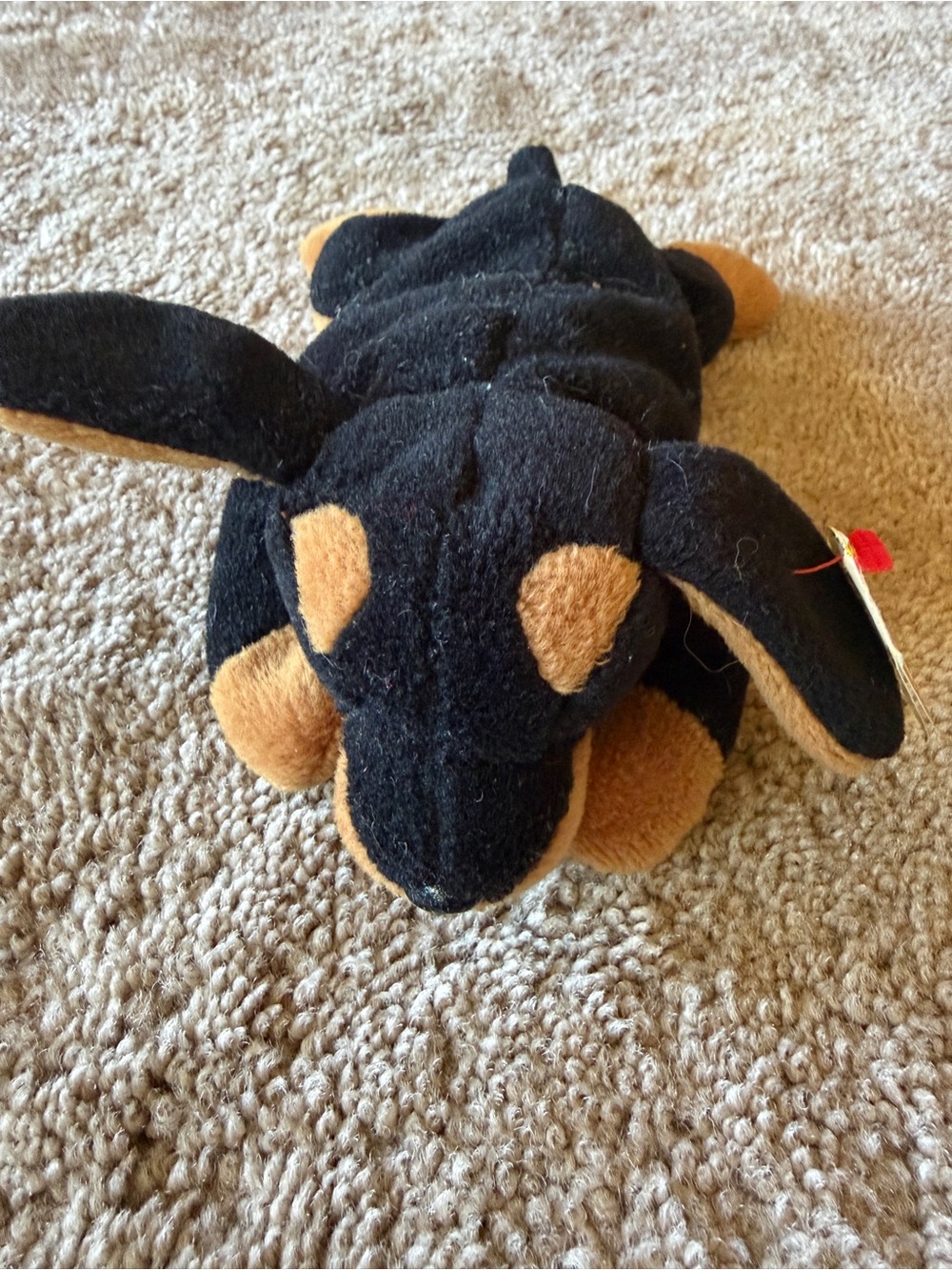 Ty Nwt Doby Beanie Baby Black and Tan Dog